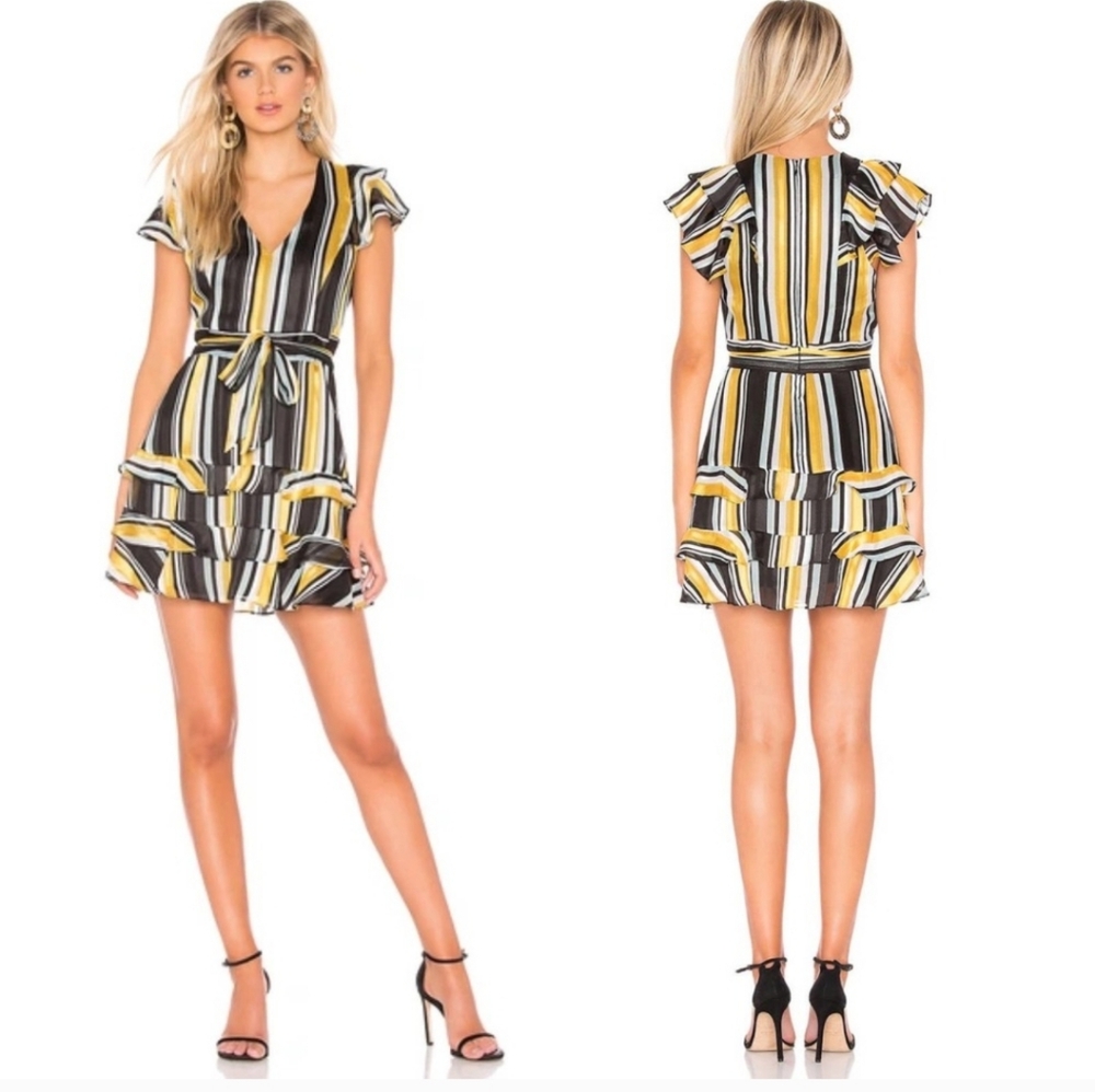 PARKER Elijah Raya Striped Chiffon Flutter Sleeve Ruffle Mini Dress Size 10 NWT